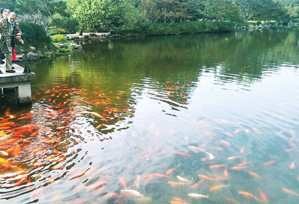 大型魚池循環(huán)水過(guò)濾設(shè)備