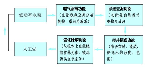 大學(xué)學(xué)校人工湖水質(zhì)處理工藝