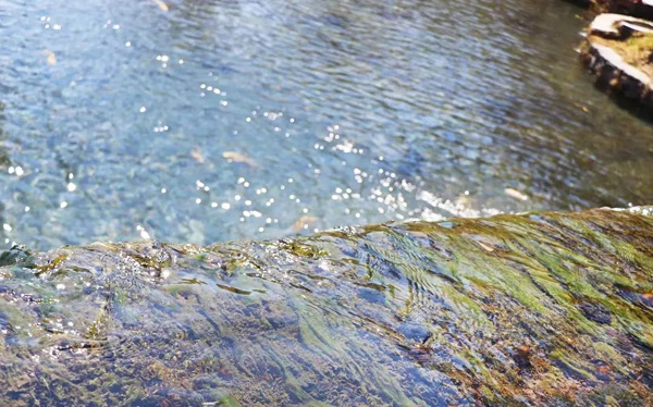 水體溶解氧不足對景觀水質會產生怎樣的影響?