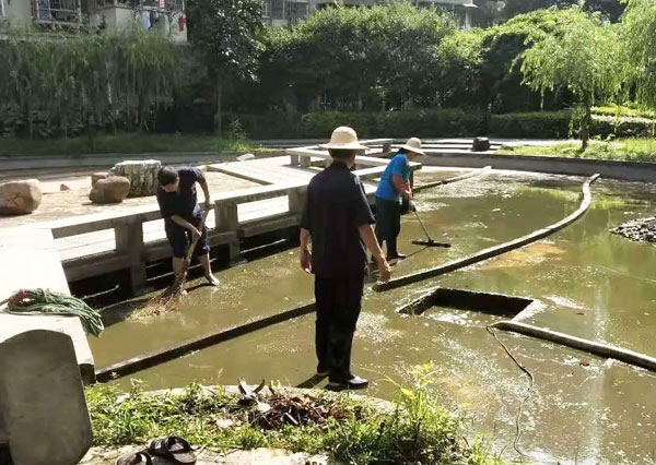 小區(qū)景觀水池有異味如何凈化處理保持水質(zhì)清澈?