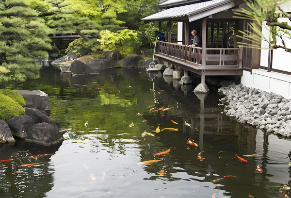 戶外景觀魚(yú)池用哪種景觀水池水處理設(shè)備？