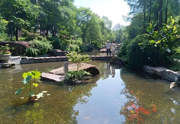 景觀池水質(zhì)凈化的創(chuàng)新方法，打造清澈如鏡的水景